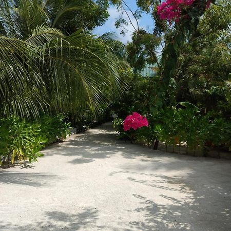 Sunrise Inn Thoddoo Εξωτερικό φωτογραφία