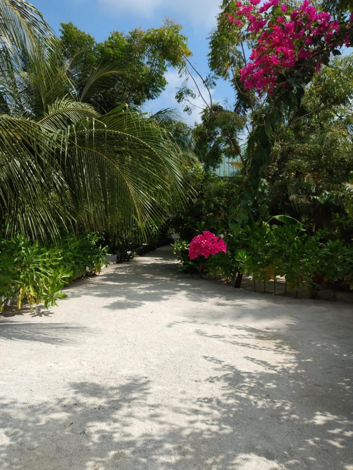 Sunrise Inn Thoddoo Εξωτερικό φωτογραφία