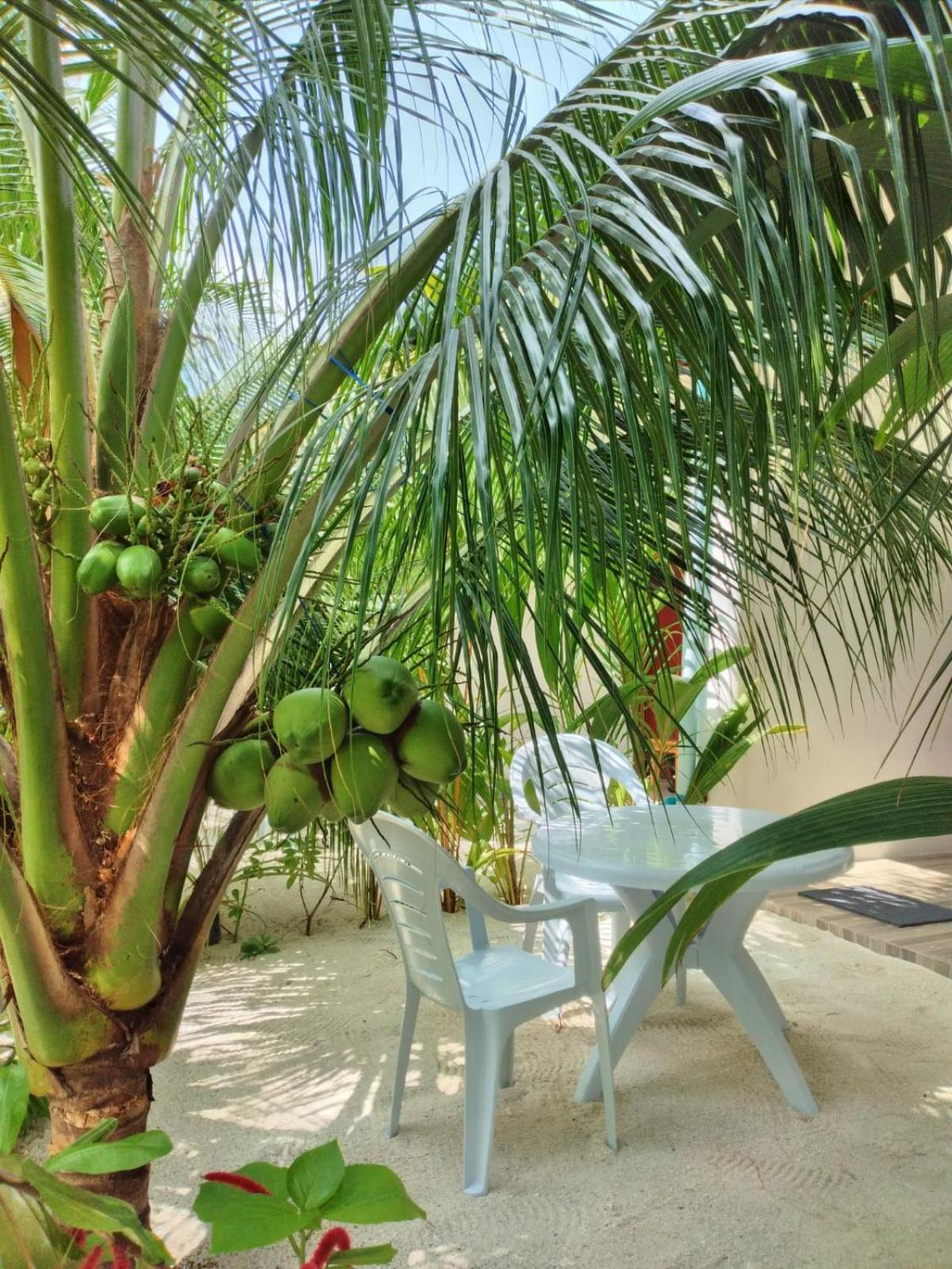 Sunrise Inn Thoddoo Εξωτερικό φωτογραφία